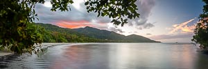 Picture of Cape Tribulation, Far North Queensland, Queensland, Australia