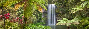 Picture of Atherton Tablelands, Far North Queensland, Queensland, Australia