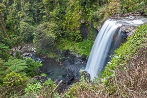 Picture of Atherton Tablelands, Far North Queensland, Queensland, Australia