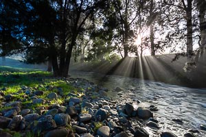 Picture of Gloucester Tops, Barrington Coast, New South Wales, Australia
