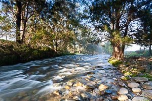 Picture of Gloucester Tops, Barrington Coast, New South Wales, Australia