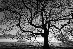 Picture of Kiewa Valley, The High Country, Victoria, Australia