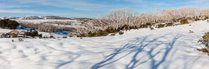 Picture of Alpine National Park, The High Country, Victoria, Australia