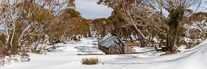 Picture of Alpine National Park, The High Country, Victoria, Australia