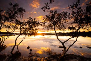 Picture of Bensville, Central Coast, New South Wales, Australia