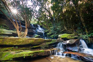 Picture of Brisbane Water National Park, Central Coast, New South Wales, Australia