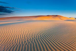 Picture of Worimi National Park, Port Stephens, New South Wales, Australia