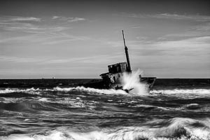Picture of Worimi National Park, Port Stephens, New South Wales, Australia