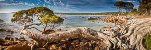 Picture of Margaret River, South West, Western Australia, Australia