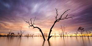 Picture of Menindee Lakes, Far West, New South Wales, Australia