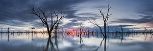 Picture of Menindee Lakes, Far West, New South Wales, Australia