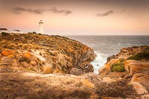 Picture of Cape Willoughby, Kangaroo Island, South Australia, Australia