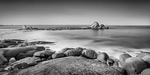 Picture of Mount William National Park, East Coast, Tasmania, Australia