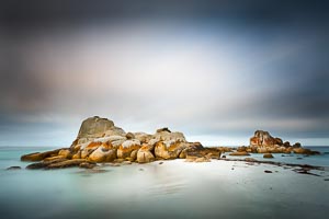 Picture of Mount William National Park, East Coast, Tasmania, Australia