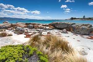 Picture of Bicheno, East Coast, Tasmania, Australia