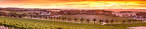 Picture of Barossa Valley, Adelaide Hills, South Australia, Australia