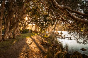 Picture of Copacabana, Central Coast, New South Wales, Australia