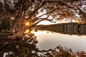 Picture of Avoca Beach, Central Coast, New South Wales, Australia