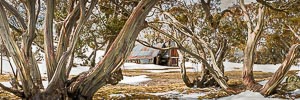 Picture of Wallace Hut, The High Country, Victoria, Australia