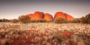 Picture of Uluru Kata Tjuta National Park, Central Australia, Northern Territory, Australia