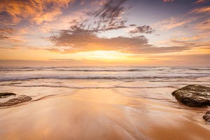 Picture of Shelly Beach, Central Coast, New South Wales, Australia