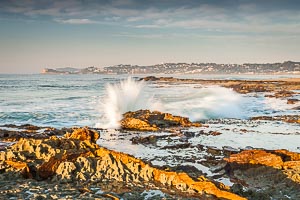 Picture of Wamberal, Central Coast, New South Wales, Australia
