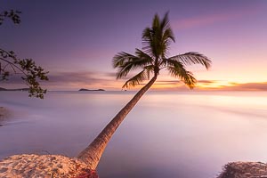 Picture of Kewarra Beach, Far North Queensland, Queensland, Australia