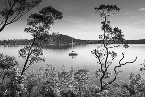 Picture of Green Point, Central Coast, New South Wales, Australia