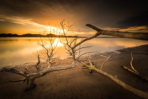 Picture of Marlo, Gippsland, Victoria, Australia
