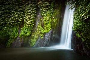 Picture of Munduk Falls, North Bali, Bali, Indonesia