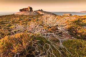 Picture of Flinders Chase National Park, Kangaroo Island, South Australia, Australia