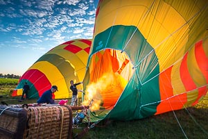 Picture of Hunter Valley, The Hunter, New South Wales, Australia