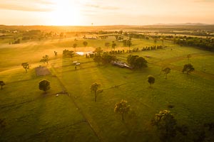 Picture of Hunter Valley, The Hunter, New South Wales, Australia