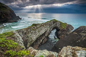 Picture of Limeburners Creek National Park, Mid North Coast, New South Wales, Australia