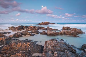 Picture of Delicate Nobbies, Mid North Coast, New South Wales, Australia