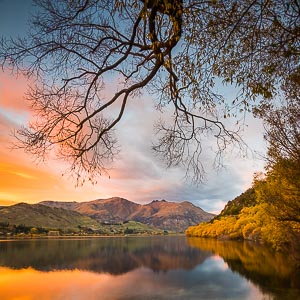 Picture of Arrowtown, Otago, South Island, New Zealand