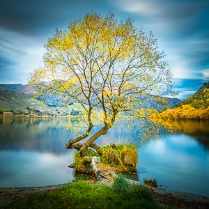 Picture of Arrowtown, Otago, South Island, New Zealand