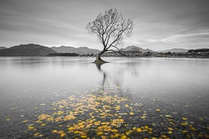 Picture of Lake Wanaka, Otago, South Island, New Zealand