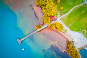 Picture of Glenorchy, Otago, South Island, New Zealand