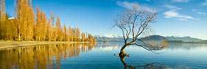 Picture of Lake Wanaka, Otago, South Island, New Zealand