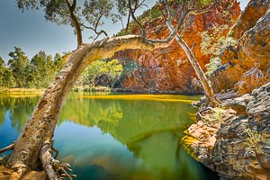 Picture of MacDonnell Ranges, Central Australia, Northern Territory, Australia