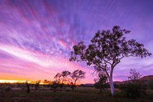 Picture of Alice Springs, Central Australia, Northern Territory, Australia