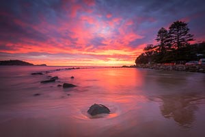 Picture of Avoca Beach, Central Coast, New South Wales, Australia
