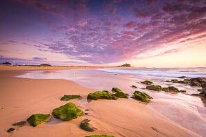 Picture of Nobbys Beach, Newcastle, New South Wales, Australia