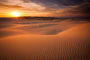 Picture of Worimi National Park, Port Stephens, New South Wales, Australia