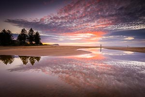 Picture of Terrigal, Central Coast, New South Wales, Australia
