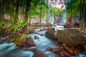 Picture of Litchfield National Park, Darwin and Surrounds, Northern Territory, Australia