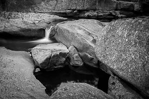 Picture of Wadbilliga National Park, South East, New South Wales, Australia
