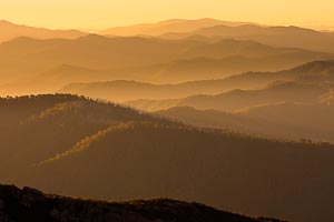 Picture of Mount Buffalo National Park, The High Country, Victoria, Australia