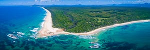 Picture of Bongil Bongil National Park, Mid North Coast, New South Wales, Australia